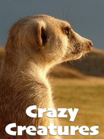 Movie poster for Crazy Creatures (2018)