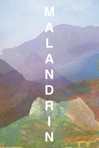 Movie poster for Malandrin (2024)