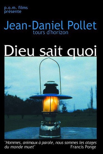 Movie poster for Dieu sait quoi (1994)