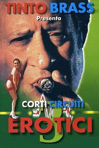 Movie poster for Erotic Short Circuits Vol.3 (1998)