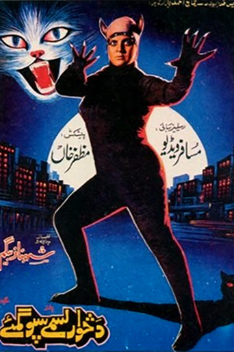 Movie poster for The Cat Beast (1997)
