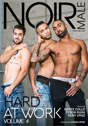 Movie poster for Hard At Work 4 (2020)