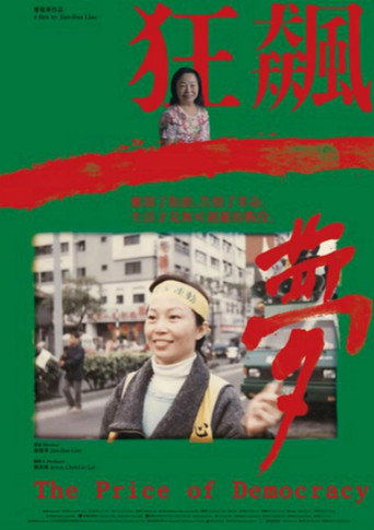 Movie poster for The Price of Democracy (2020)