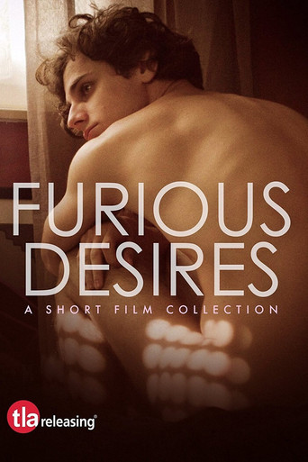 Movie poster for Furious Desires (2017)