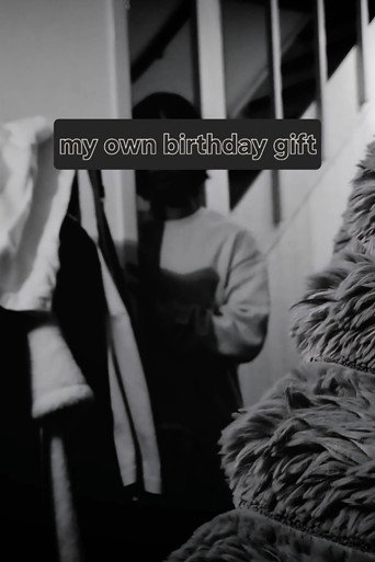 Movie poster for my own birthday gift (2025)