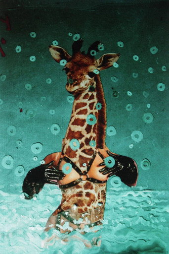 Movie poster for There's a Pervert in Our Pool! (1998)