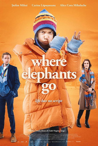 Movie poster for Where Elephants Go (2024)