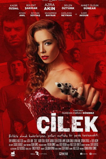 Çilek poster