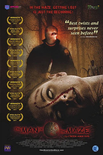 Movie poster for The Man in the Maze (2011)