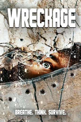 Wreckage poster