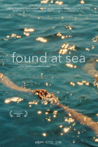 Movie poster for Found at sea (2025)