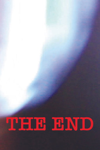 Movie poster for THE END (2023)