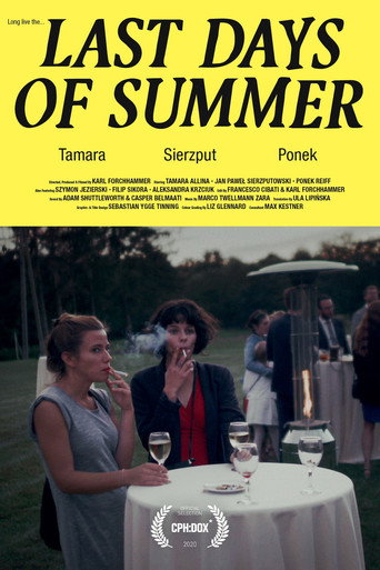 Movie poster for Last Days of Summer (2021)