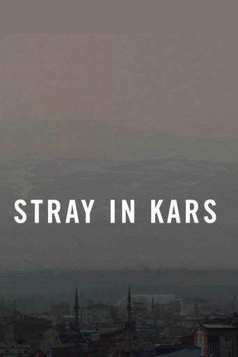 Movie poster for Stray in Kars (2022)