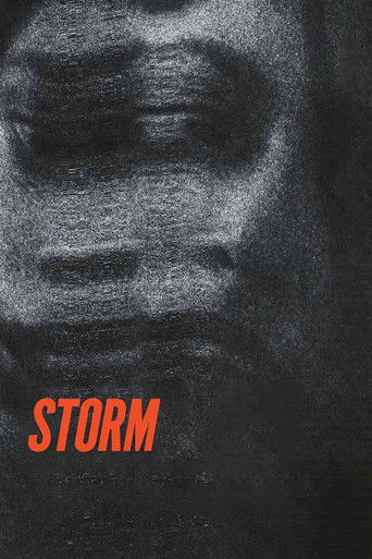 Storm poster