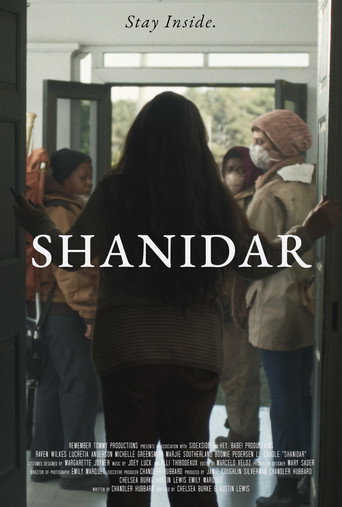 Movie poster for Shanidar