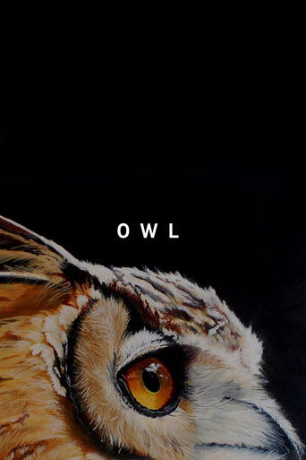 Owl poster