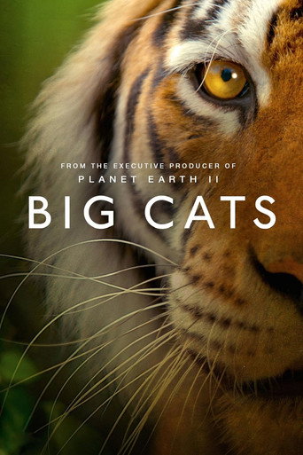 Movie poster for Big Cats (2019)