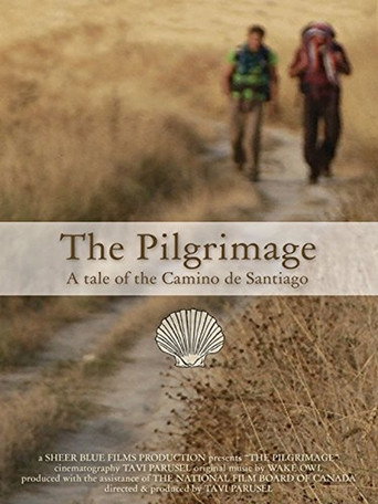 Movie poster for The Pilgrimage (2013)