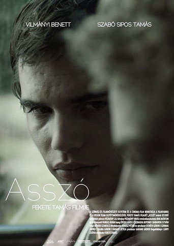 Movie poster for Assaut (2017)