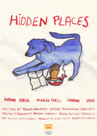 Movie poster for Hidden places