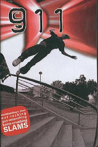Movie poster for 411VM Presents : 911 (2004)