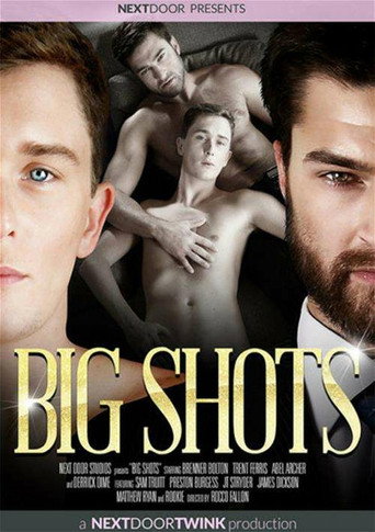 Movie poster for Big Shots (2016)