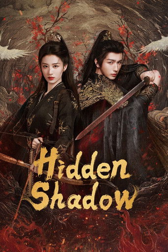 Hidden Shadow poster