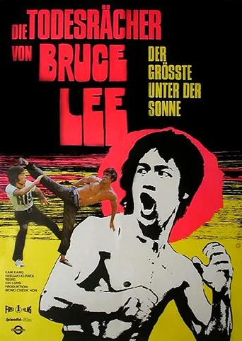 Movie poster for Fatal Strike (1974)