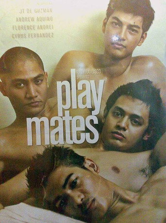 Movie poster for Playmates (2011)