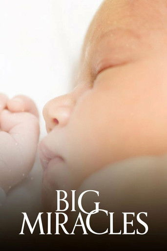 Big Miracles poster