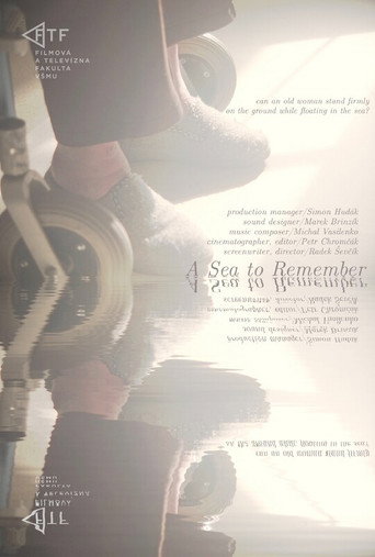 Movie poster for A Sea to Remember (2024)
