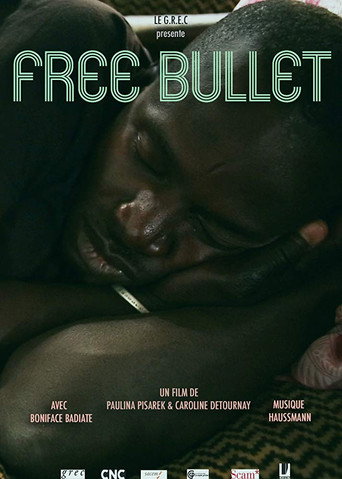 Movie poster for Free Bullet (2015)