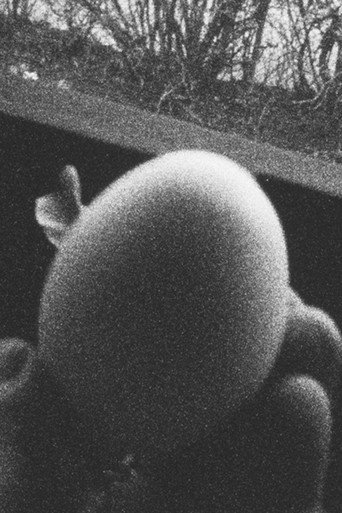 Movie poster for 13 Eggs (2022)
