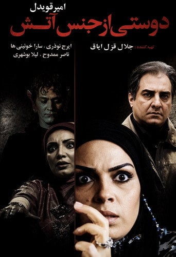 Movie poster for A Friend Made of Fire (2009)