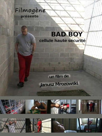 Movie poster for Bad Boy (2012)