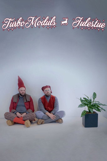 TurboModuls julestue poster
