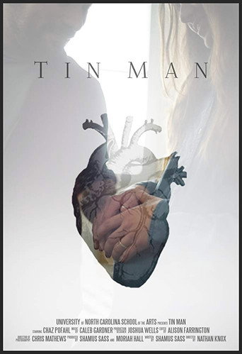 Movie poster for Tin Man (2017)