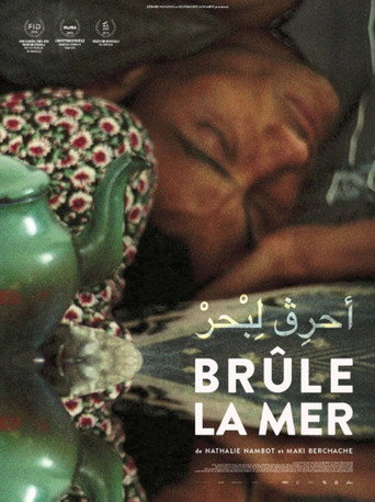 Movie poster for Burn the Sea (2014)