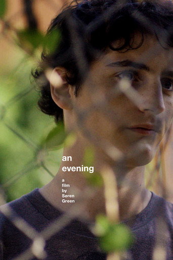 Movie poster for An Evening (2016)