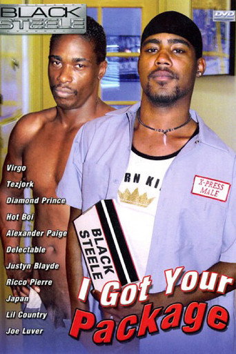 Movie poster for I Got Your Package (2006)