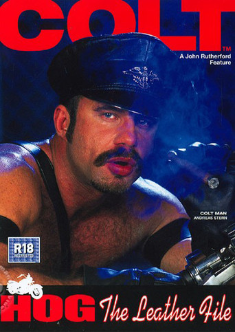 Movie poster for Hog: The Leather File (2003)