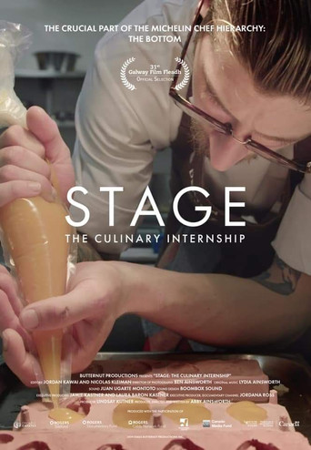 Movie poster for Stage: The Culinary Internship (2019)