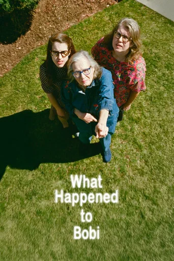 Movie poster for What Happened to Bobi