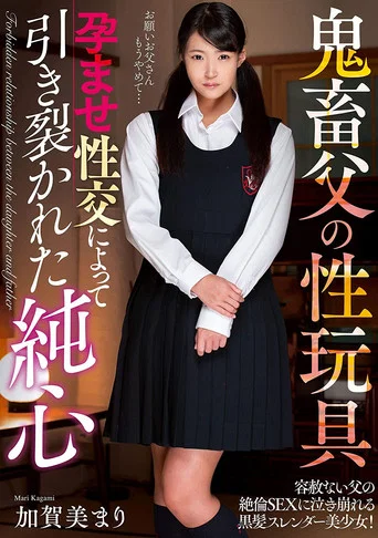 Movie poster for Papa's A Pervert! And He Loves His Sex Toys! An Innocent Heart, Torn Apart By Pregnancy Fetish Lust Mari Kagami (2020)