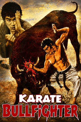 Movie poster for Karate Bullfighter (1975)