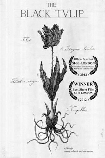 Movie poster for The Black Tulip (2013)