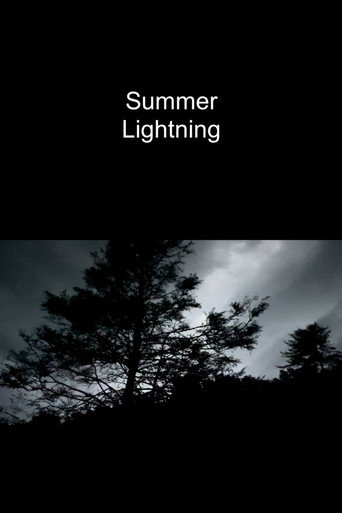 Movie poster for Summer Lightning (2022)