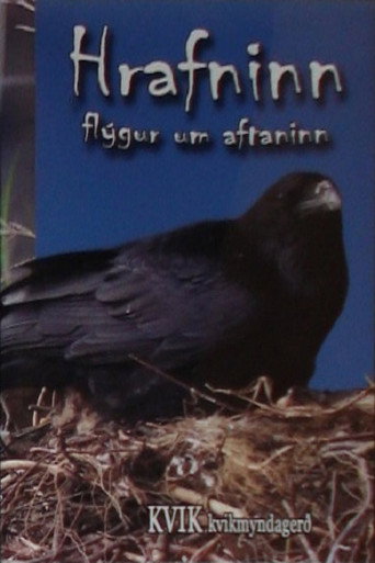 Movie poster for The Bird of Wisdom: The Raven (2008)
