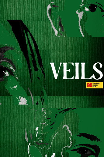 Movie poster for VEILS (2025)